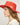 #colour_red