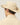 #colour_safari-tan