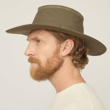 #colour_forest-night