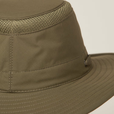 #colour_forest-night