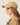 #colour_camel