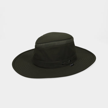 #colour_forest-night