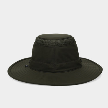 #colour_forest-night