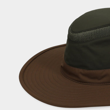 #colour_forest-night-peat