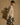 Look_01_213