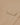 #colour_safari-tan