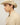 #colour_safari-tan