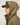#colour_khaki-green