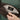 #colour_black