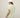 #colour_pale-mint